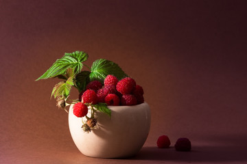 Raspberry picked from the garden in the bowl