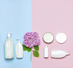 Cosmetic bottle containers with hydrangea flower on a blue and pink minimalistic background flat lay. Blank label for branding mock-up. Natural beauty product concept.