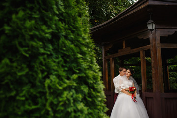 Fototapeta premium Groom embraces his stunning bride, standing in the park together after wedding ceremony.