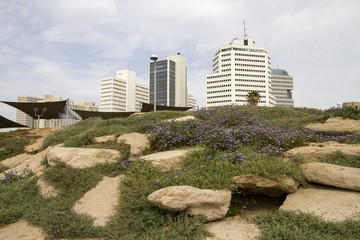 Vista della città, Tel Aviv