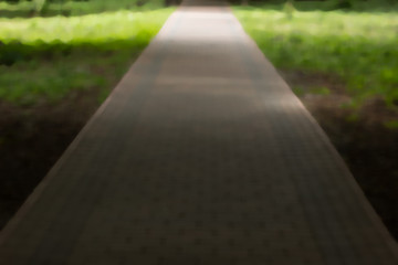 unfocused abstract park outdoor road background concept