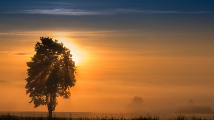 Panoramic morning scenery of sunrise over foggy meadow