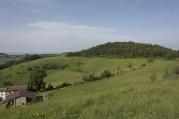Panorama