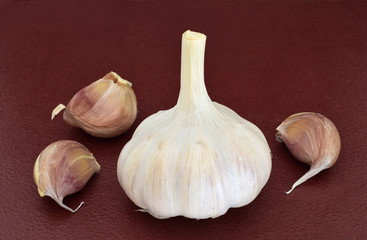 Garlic