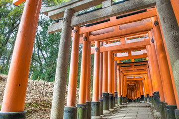 Fushimi Inari Taisha, Kyoto