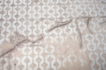 Root in bricks floor. Abstract nature created