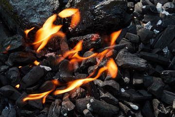 Orange wild fire burning on black coal and ash, prepared for barbecue grill