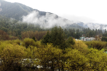 Forest and village in cloudy Himalaya mountains