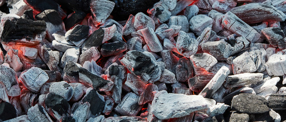 Orange wild fire burning on black coal and ash, prepared for barbecue grill