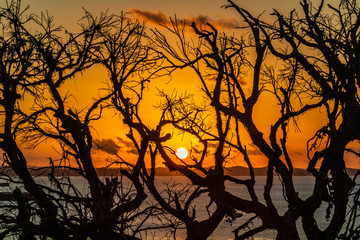 Sunset at Mirante dos Aflitos, Salvador - BA