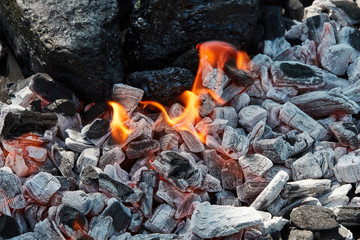 Orange wild fire burning on black coal and ash, prepared for barbecue grill