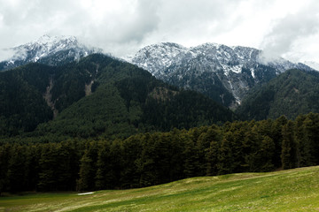 Fototapeta premium Clouddy Himalaya mountains with pine trees forest