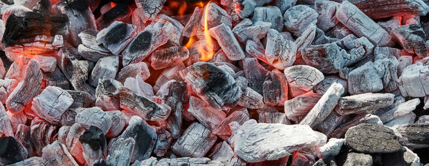 Orange wild fire burning on black coal and ash, prepared for barbecue grill