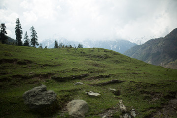 Fototapeta na wymiar Grass and stones in Himalaya mountains valley