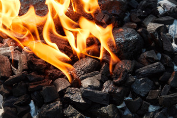 Orange wild fire burning on black coal and ash, prepared for barbecue grill