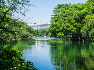 東京　井の頭公園