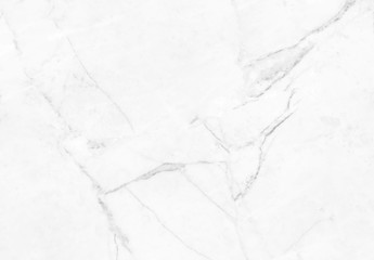 Abstract white marble background with natural motifs.