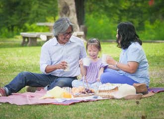 Grandparents spend the time  in holiday with grandchildren at nature park.Happy family concept.