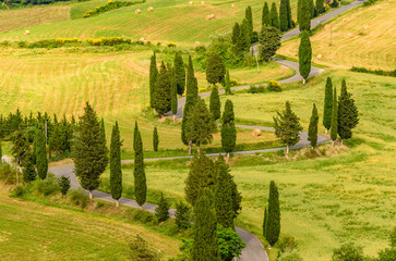 Cypress tree scenic winding road in Monticchiello - Valdorcia - near Siena, Tuscany, Italy, Europe.