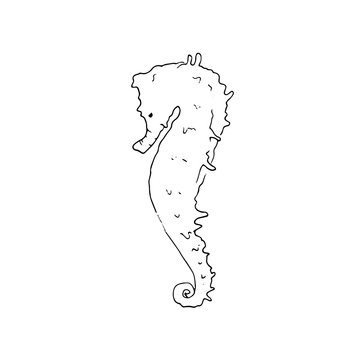 Underwater sketch with seahorse isolated on white background. Nautical illustration for print, card, poster, colouring book. Contour picture.