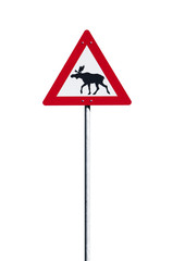 Schild Vorsicht Elch