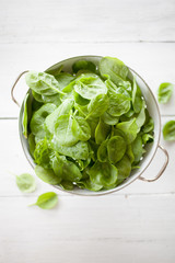 Fresh spinach