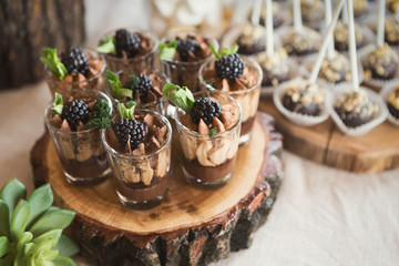 Chocolate dessert topped with cream and blackberry
