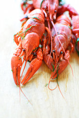 Red boiled crayfish or crawfish with herbs on  wooden background with copy space for text.