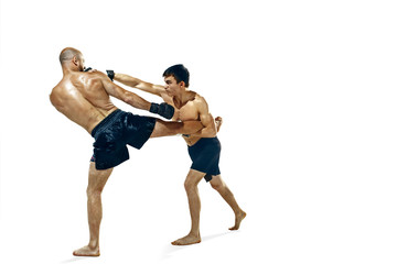 Fototapeta premium Two professional boxer boxing isolated on white studio background
