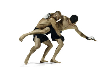 Two professional boxer boxing isolated on white studio background