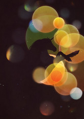 Unicorn portrait with yellow bokeh © AnnaPa