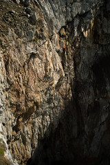 Dream of White Horses