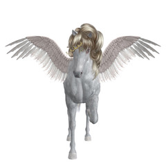 White Unicorn illustration © AnnaPa