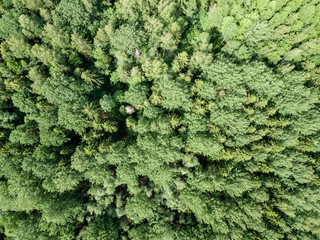 drone image. aerial view of rural area with fields and forests