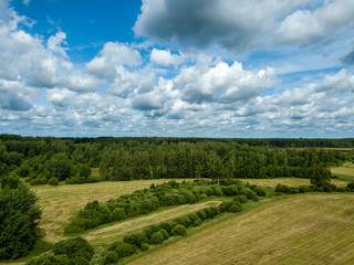 Fototapeta na wymiar drone image. aerial view of rural area with fields and forests
