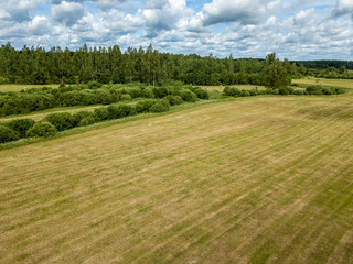 drone image. aerial view of rural area with fields and forests