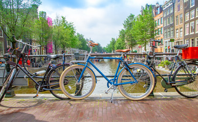 Fototapeta premium Amsterdam latem