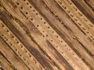drone image. aerial view of rural area with fields of turf development
