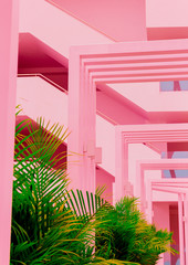 Palm and pink geometry. Minimal art. Plants on pink concept. Fashion vacation mood