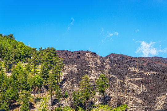 Landscapes of Etna, Sicily ,Italy.