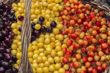 Colorful cherries in a wicker basket. Annual Cherry Festival in Kyustendil, Bulgaria.