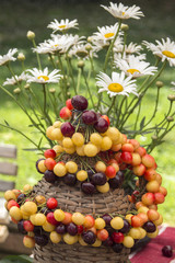 Shallow multicolored cherry on a bottle covered with woven twigs of willow and bouquet of margaritas. Kyustendil, Bulgaria.