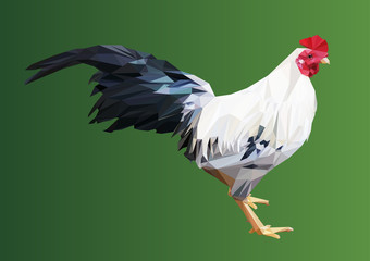 abstract polygon geometric chicken, triangle farm animal vector illustration