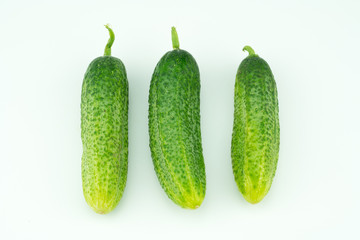 Fresh harvested homegrown cucumber from my garden isolated  on white background