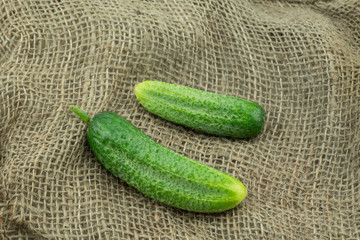 Fresh harvested homegrown cucumber  from my garden on jute background