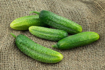 Fresh harvested homegrown cucumber  from my garden on jute background