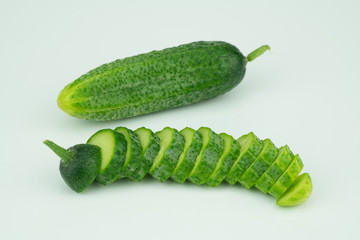 Fresh harvested homegrown cucumber from my garden isolated  on white background