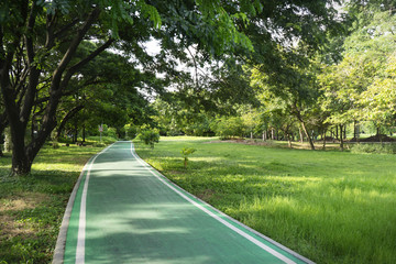 A bike lane for cyclist. Bicycle lane in the park
