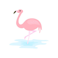 Pink flamingo vector illustration