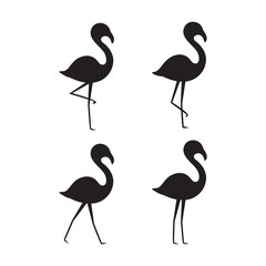 flamingo vector illustration isolated on white background.